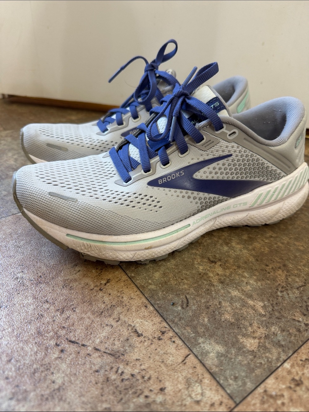 Brooks Women's Adrenaline GTS Light Gray with Blue Accents Running Shoes